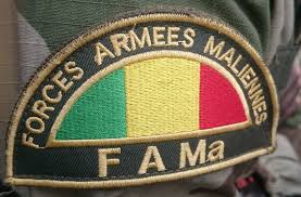 Mali: Création de la force rapide d'intervention de l'armée.